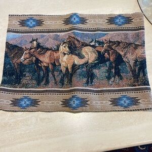 VTG Horses 2 pillow shams-cases.